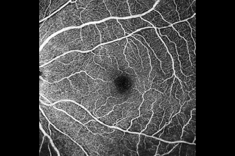 sou